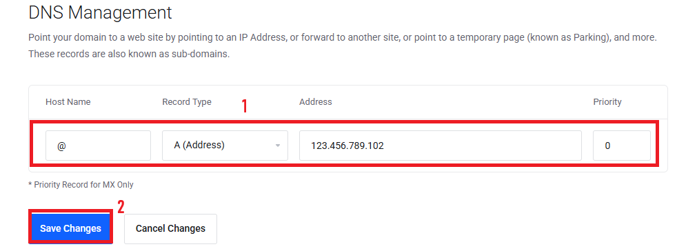 A Record DNS